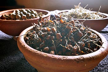 Srilanka Ayurveda