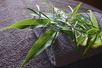 Srilanka Ayurveda