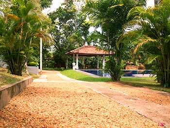 Srilanka Ayurveda