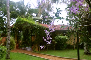 Srilanka Ayurveda