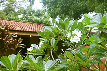Srilanka Ayurveda