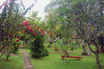 Srilanka Ayurveda