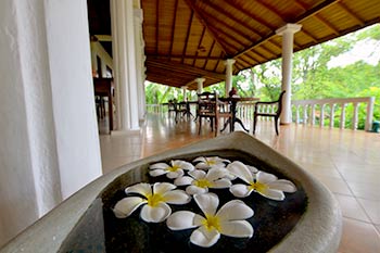 Srilanka Ayurveda