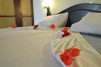 Srilanka Ayurveda
