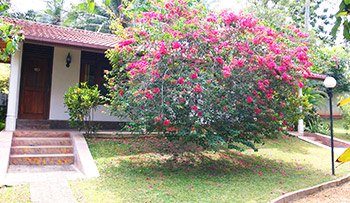 SeethaRama Ayurveda Resort